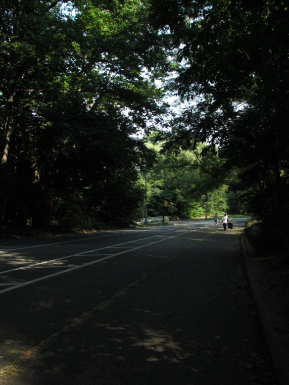 img_4370_todongan-copy