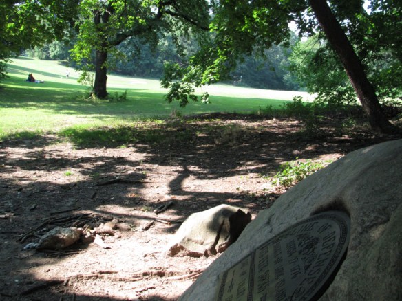 img_4384_tohsefromrock-copy